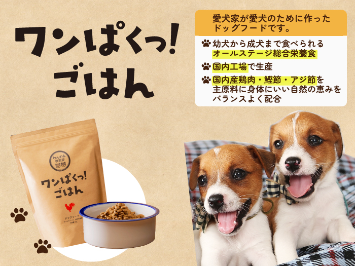 犬(いぬ)・猫の健康サプリメントならペット用サプリ通販サイト