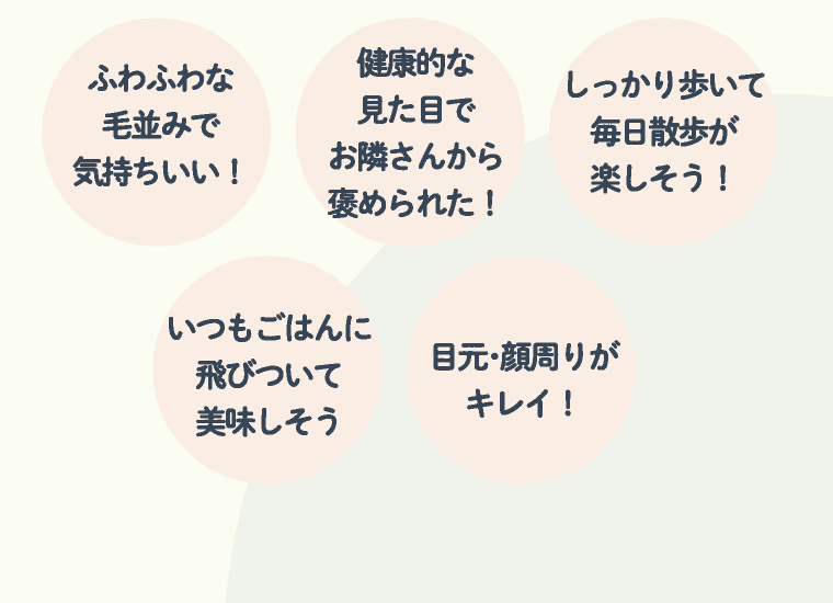 ふわふわな毛並みで気持ちいい！ | 健康的な見た目でお隣さんから褒められた！ | しっかり歩いて毎日散歩が楽しそう！ | いつもごはんに飛びついて美味しそう | 目元・顔周りがキレイ！