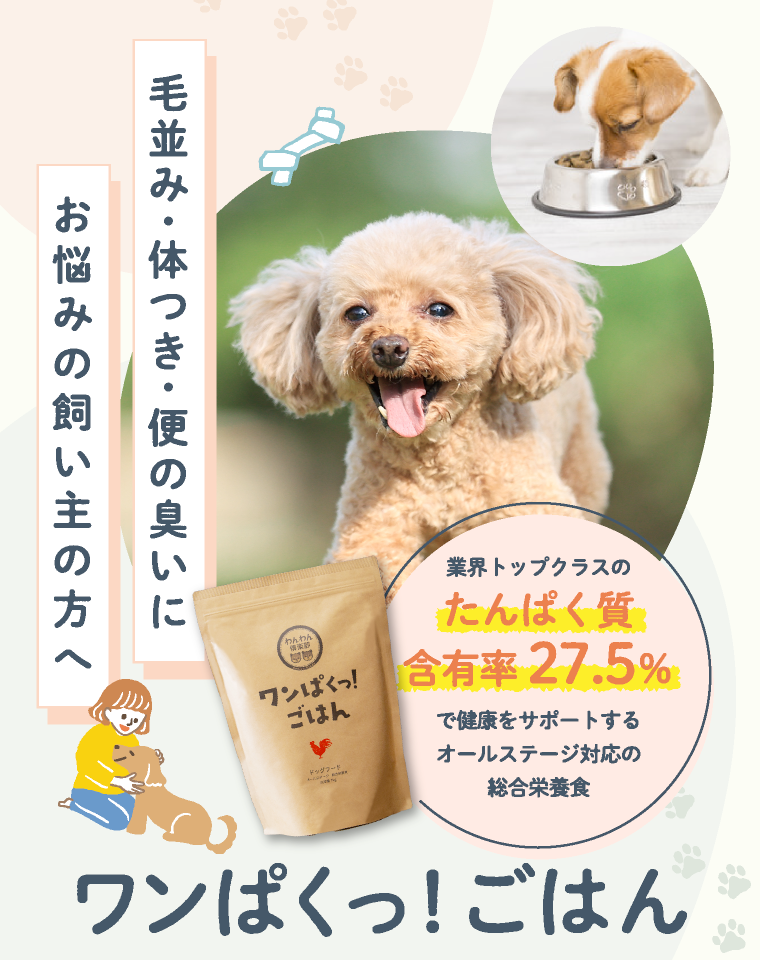 ワンぱくっ！ごはん | 毛並み・体つき・便の臭いにお悩みの飼い主の方へ | 業界トップクラスのたんぱく質含有率27.5%で健康をサポートするオールステージ対応の総合栄養食