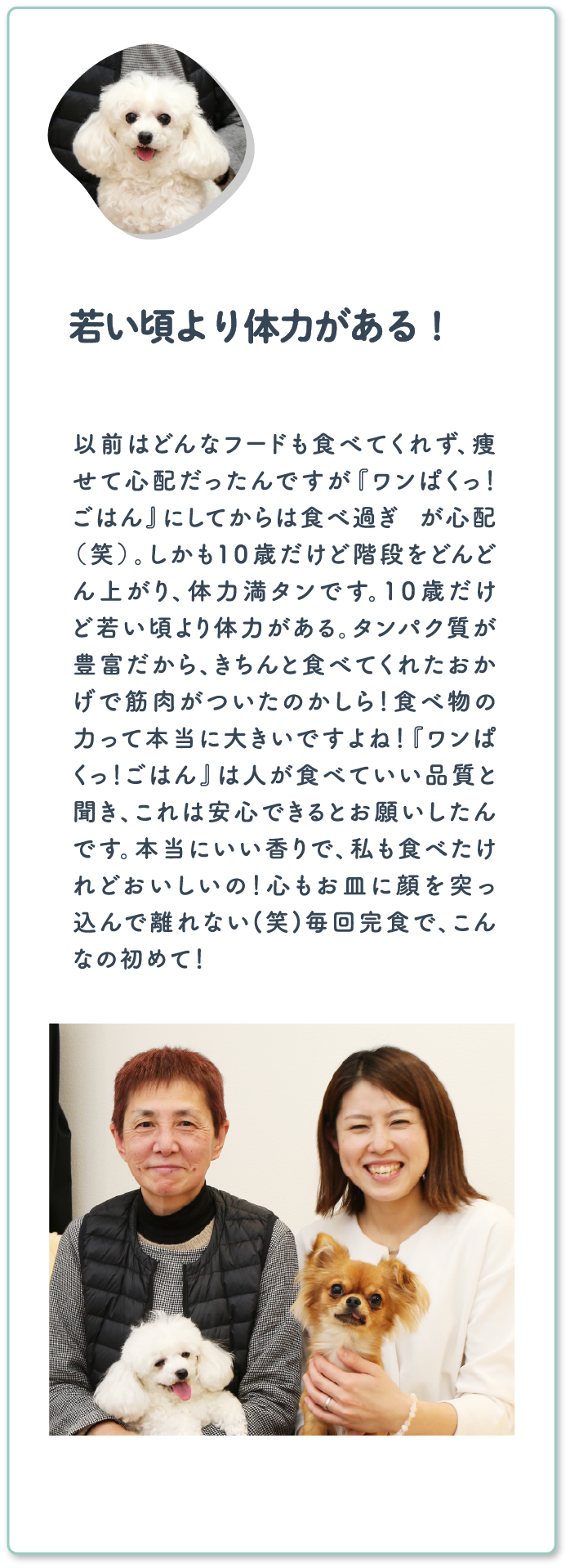 榊原様心（ココ）ちゃん 10歳/愛知県 トイ・プードル 現在愛食歴：1年7ヵ月 ※2021/9月〜2023/12月時点 ※途中お休み期間あり | 若い頃より体力がある！ | 以前はどんなフードも食べてくれず、痩せて心配だったんですが『ワンぱくっ！ごはん』にしてからは食べ過ぎ が心配（笑）。しかも１０歳だけど階段をどんどん上がり、体力満タンです。１０歳だけど若い頃より体力がある。タンパク質が豊富だから、きちんと食べてくれたおかげで筋肉がついたのかしら！食べ物の力って本当に大きいですよね！『ワンぱくっ！ごはん』は人が食べていい品質と聞き、これは安心できるとお願いしたんです。本当にいい香りで、私も食べたけれどおいしいの！心もお皿に顔を突っ込んで離れない(笑)毎回完食で、こんなの初めて！