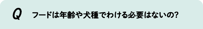 フードは年齢や犬種でわける必要はないの?