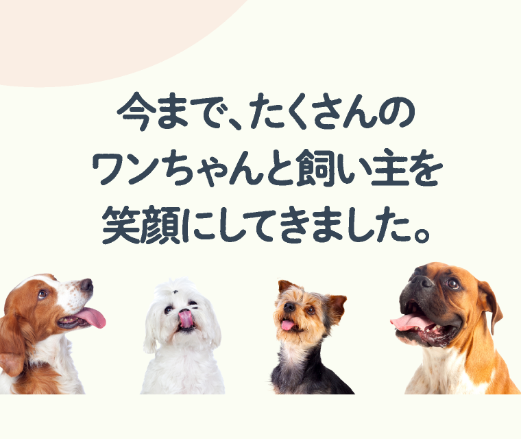 今まで、たくさんのワンちゃんと飼い主を笑顔にしてきました。