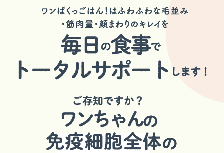 ワンぱくっごはん！はふわふわな毛並み・筋肉量・顔まわりのキレイを毎日の食事でトータルサポートします！ ご存知ですか？ 免疫細胞全体のワンちゃんの
