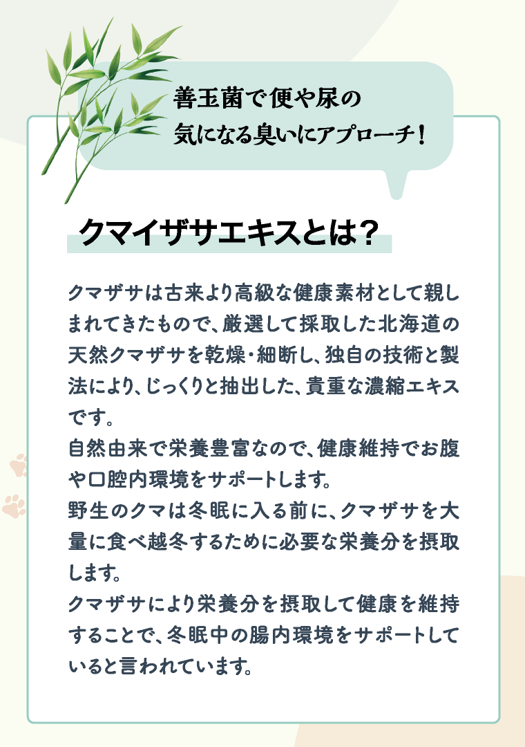 善玉菌で便や尿の気になる臭いにアプローチ！ クマイザサエキスとは？ クマザサは古来より高級な健康素材として親しまれてきたもので、厳選して採取した北海道の天然クマザサを乾燥･細断し､独自の技術と製法により､じっくりと抽出した､貴重な濃縮エキスです｡自然由来で栄養豊富なので、健康維持でお腹や口腔内環境をサポートします。野生のクマは冬眠に入る前に、クマザサを大量に食べ越冬するために必要な栄養分を摂取します。クマザサにより栄養分を摂取して健康を維持することで、冬眠中の腸内環境をサポートしていると言われています。
