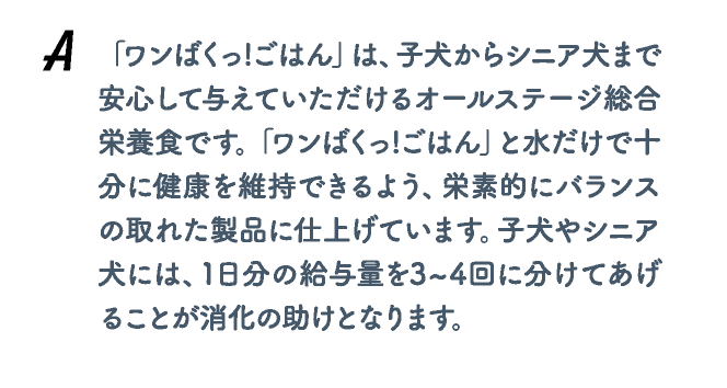 「ワンばくっ!ごはん」は、子犬からシニア犬まで安心して与えていただけるオールステージ総合栄養食です。「ワンばくっ!ごはん」と水だけで十分に健康を維持できるよう、栄素的にバランスの取れた製品に仕上げています。子犬やシニア犬には、1日分の給与量を3~4回に分けてあげることが消化の助けとなります。