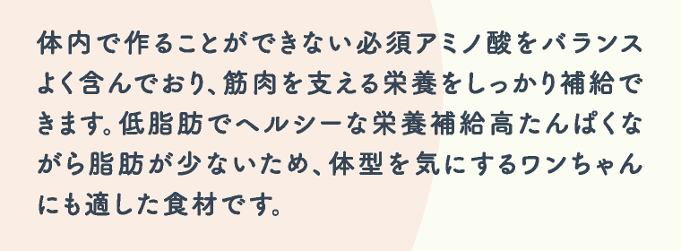 体内で作ることができない必須アミノ酸をバランスよく含んでおり、筋肉を支える栄養をしっかり補給できます。低脂肪でヘルシーな栄養補給高たんぱくながら脂肪が少ないため、体型を気にするワンちゃんにも適した食材です。