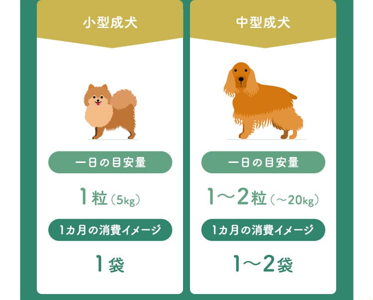 小型成犬（1日の目安量：1粒、1ヵ月の消費イメージ：1袋）、中型成犬（1日の目安量：1～2粒、1ヵ月の消費イメージ：1～2袋）