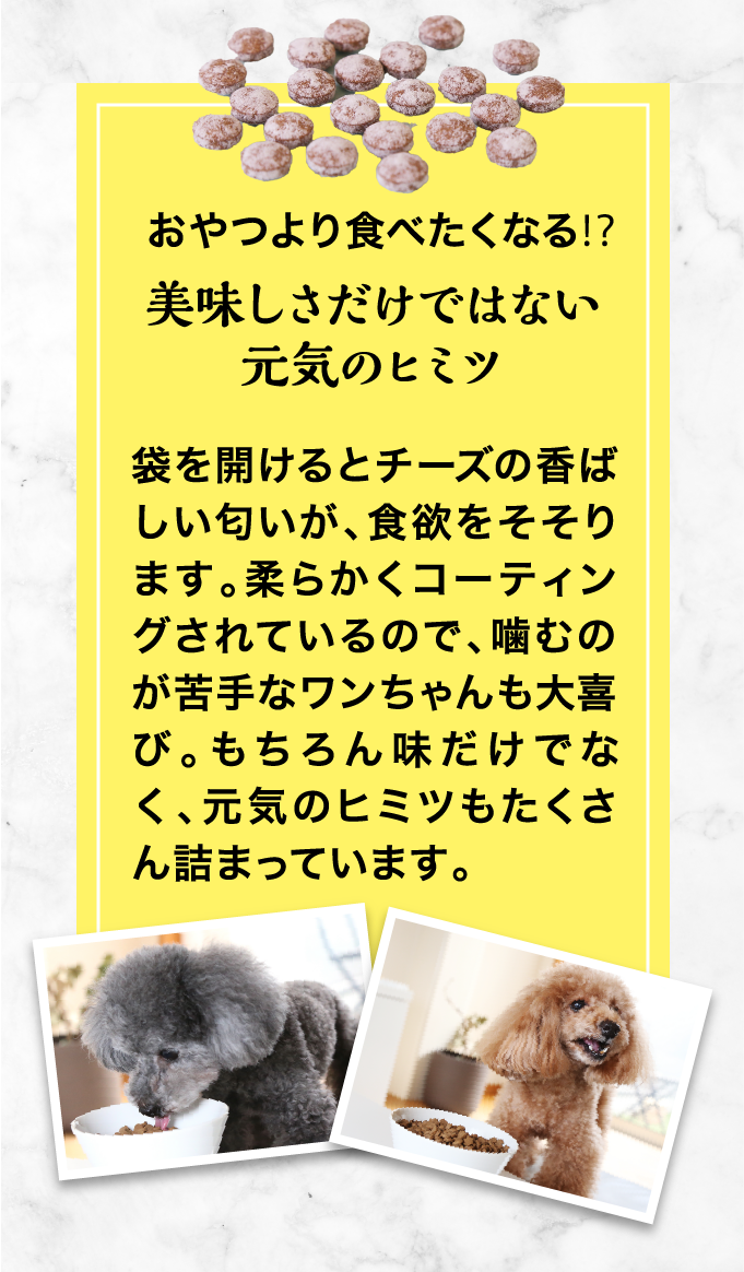 おやつより食べたくなる⁉美味しさだけではない元気のヒミツ 袋を開けるとチーズの香ばしい匂いが、食欲をそそります。柔らかくコーティングされているので、噛むのが苦手なワンちゃんも大喜び。もちろん味だけでなく、元気のヒミツもたくさん詰まっています。
