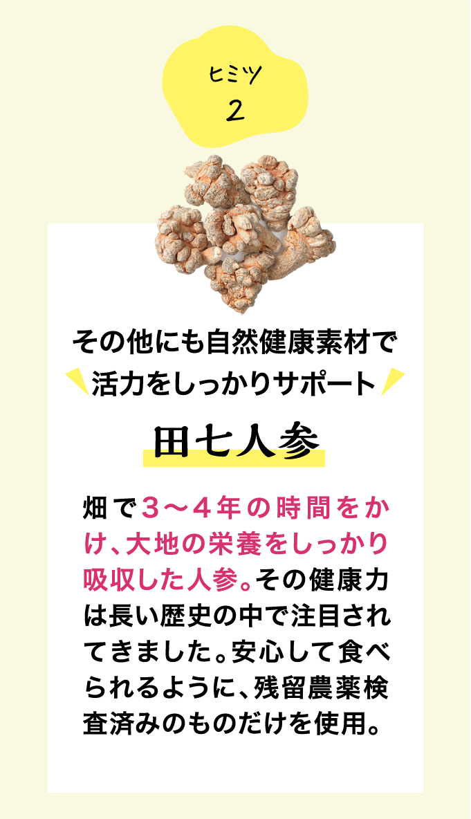 ヒミツ2 その他にも自然健康素材で活力をしっかりサポート 田七人参 畑で3〜4年の時間をかけ、大地の栄養をしっかり吸収した人参。その健康力は長い歴史の中で注目されてきました。安心して食べられるように、残留農薬検査済みのものだけを使用。