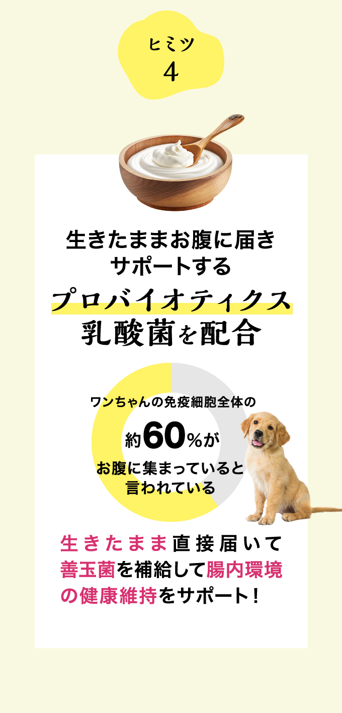 ヒミツ4 生きたままお腹に届きサポートするプロバイオティクス乳酸菌を配合 ワンちゃんの免疫細胞全体の約60%がお腹に集まっていると言われている 生きたまま直接届いて善玉菌を補給して腸内環境の健康維持をサポート！