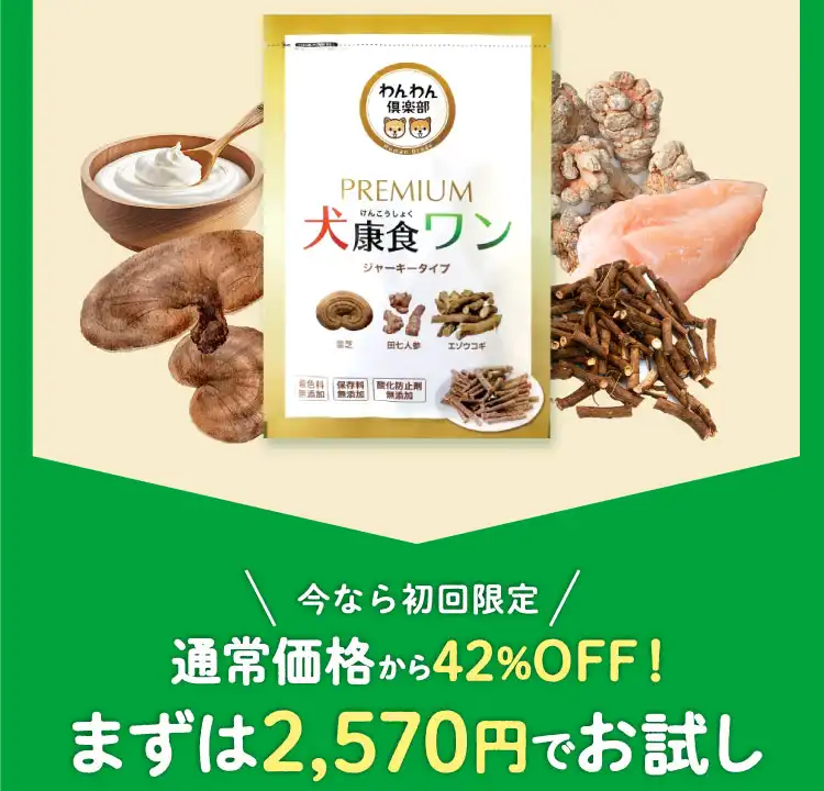 初回特別価格】犬康食ワン