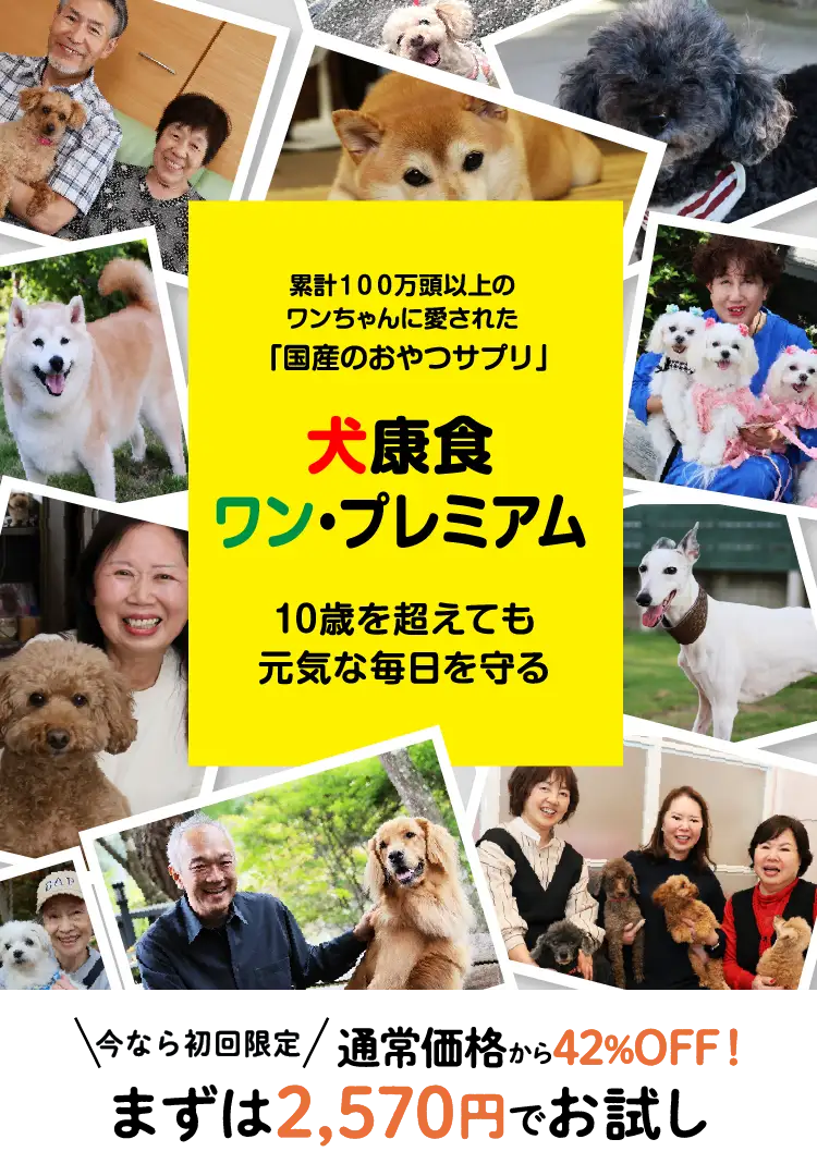 初回特別価格】犬康食ワン