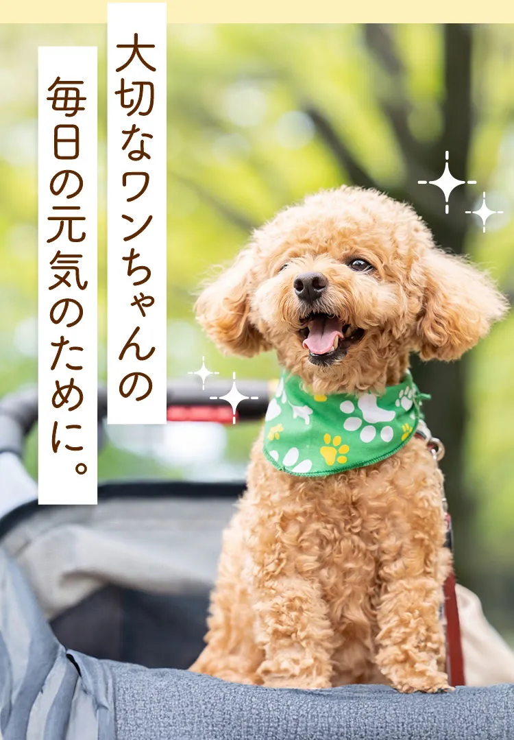 大切なわんちゃんの毎日の元気のために