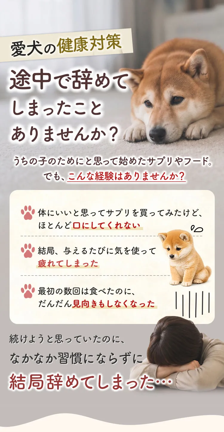 愛犬の健康対策