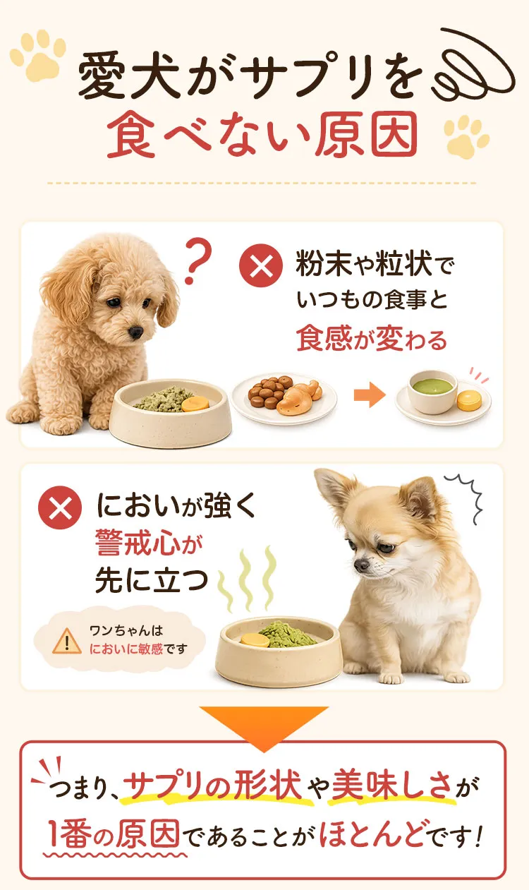 愛犬がサプリを食べない原因