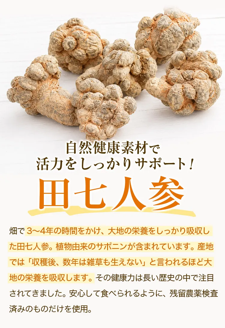 田七人参