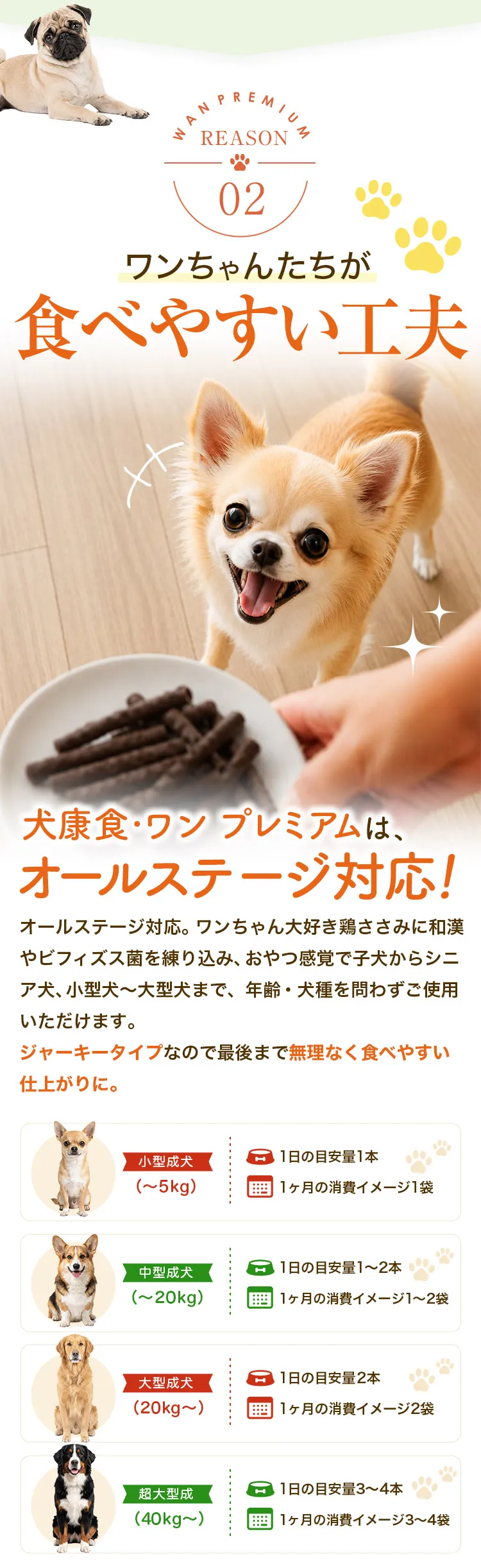 ワンちゃんたちが食べやすい工夫