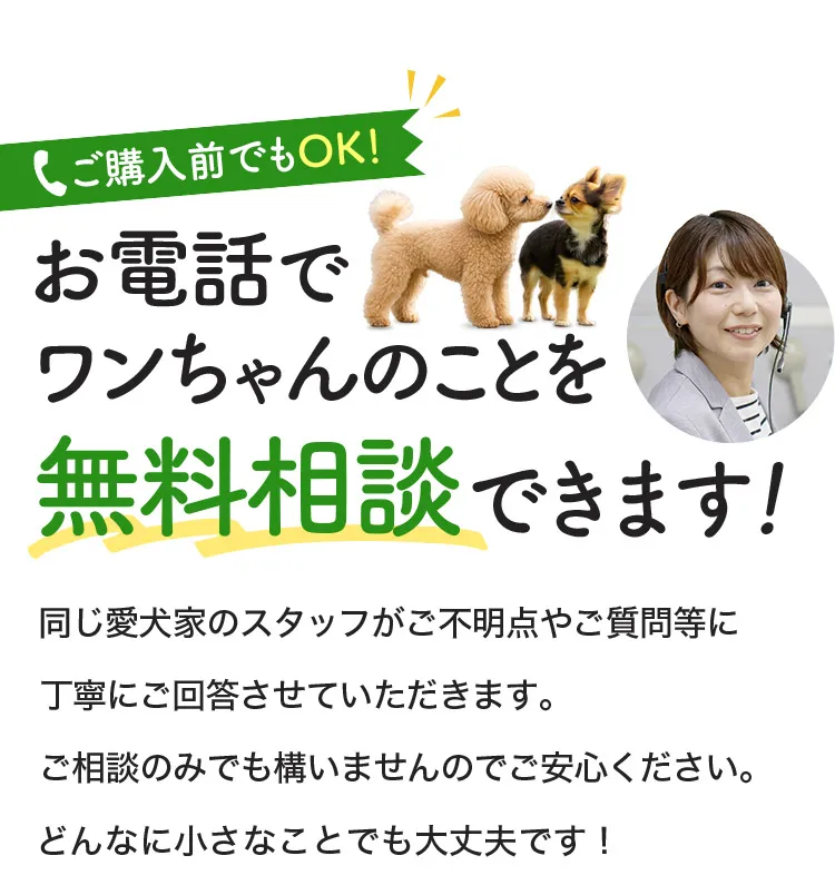 お電話でワンちゃんのことを無料相談できます！