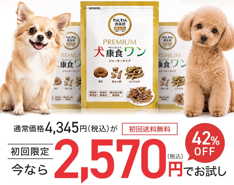 今なら2,570円でお試し