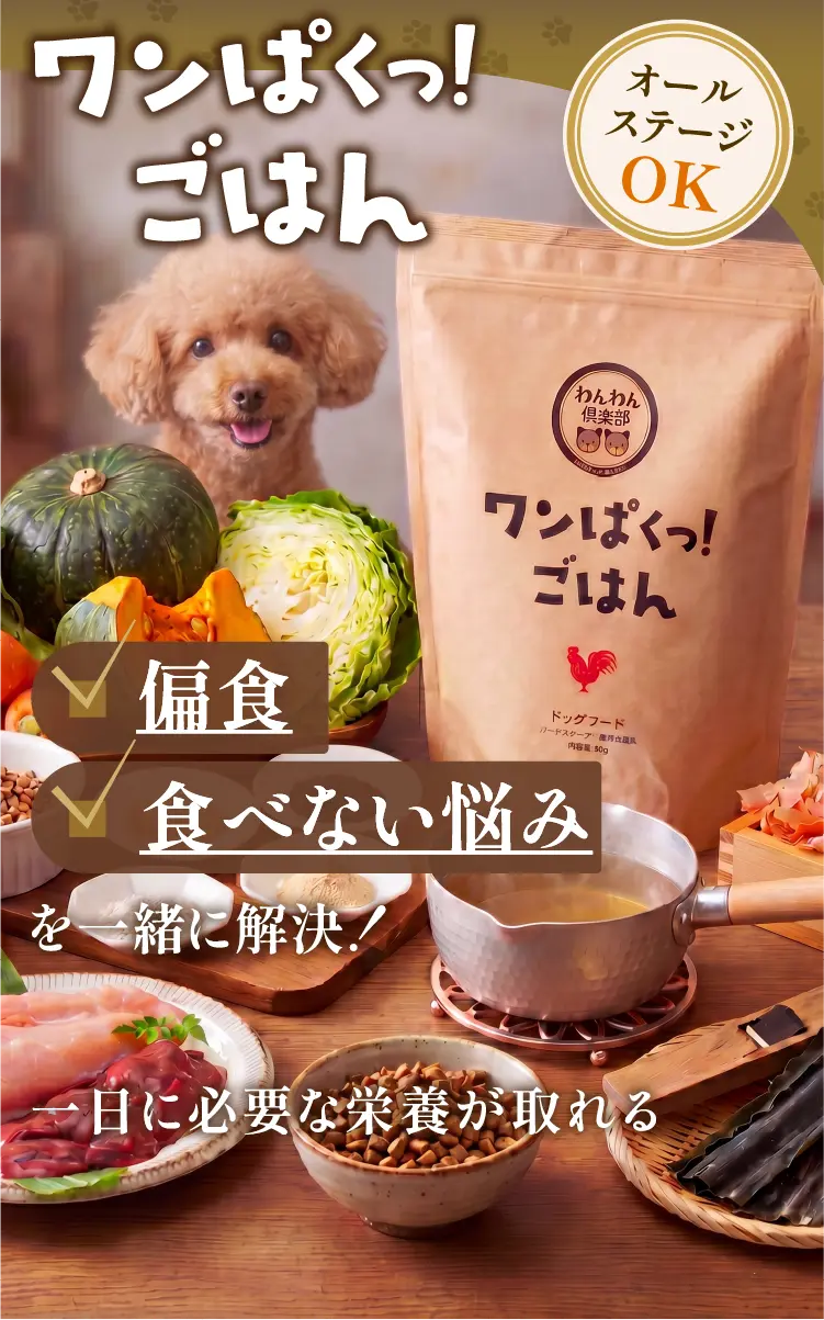 
                    偏食・食べない悩みを一緒に解決! 一日に必要な栄養が取れるやさしい総合栄養食 オールステージOK ワンぱくっ！ごはん | 国産素材・人工添加物無添加・ヒューマングレード品質
                    
