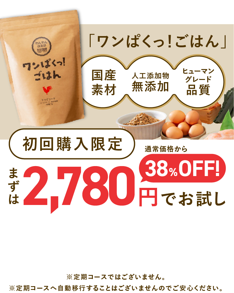 
                    初回購入限定！お得な38%0FFキャンペーン実施中
                    