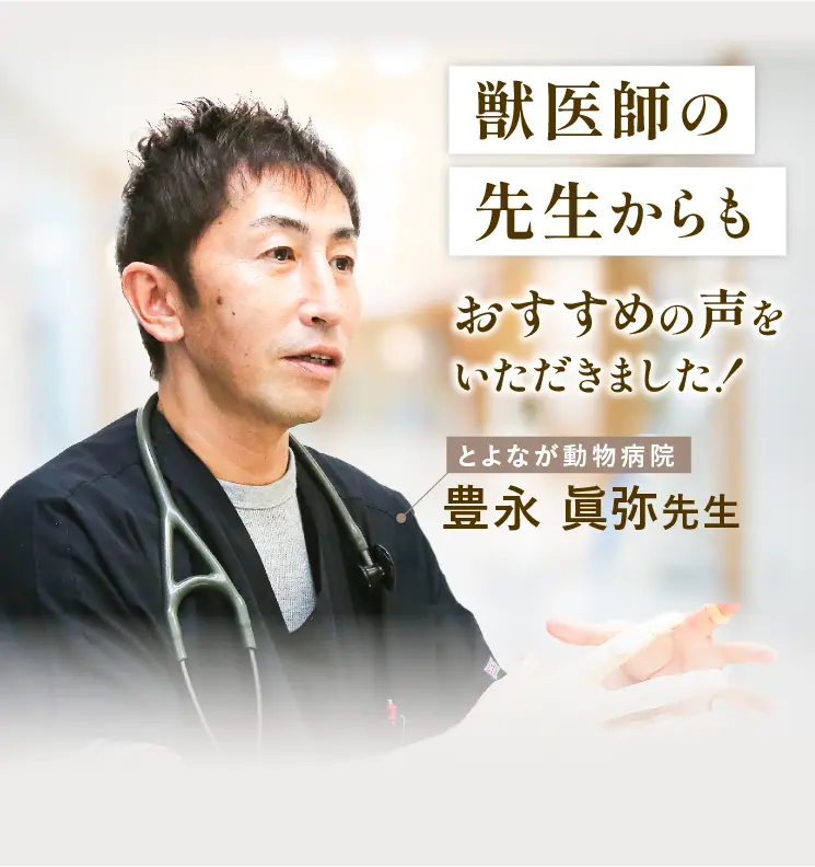 
            獣医師の先生からもおすすめの声をいただきました！ とよなが動物病院 豊永 眞弥先生
            