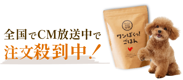 
            全国でCM放送中！注文殺到中！
            