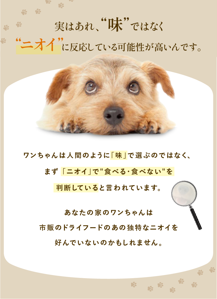 
            実はあれ、味ではなくニオイに反応している可能性が高いんです。ワンちゃんは人間のように「味」で選ぶのではなく、まず「ニオイ」で食べる・食べないを判断していると言われています。あなたの家のワンちゃんは市販のドライフードのあの独特なニオイを好んでいないのかもしれません。
            