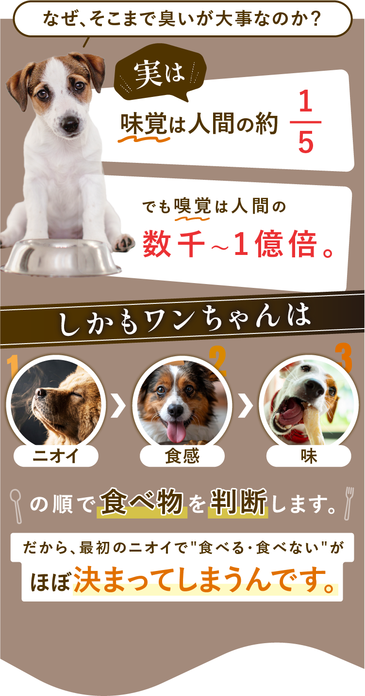 
            なぜ、そこまで臭いが大事なのか？実は、ワンちゃんの味覚は人間の約1/5。でも嗅覚は人間の数千〜1億倍。しかもワンちゃんはニオイ→食感→味の順で食べ物を判断します。だから最初の臭いで食べる・食べないがほぼ決まってしまうんです。
            