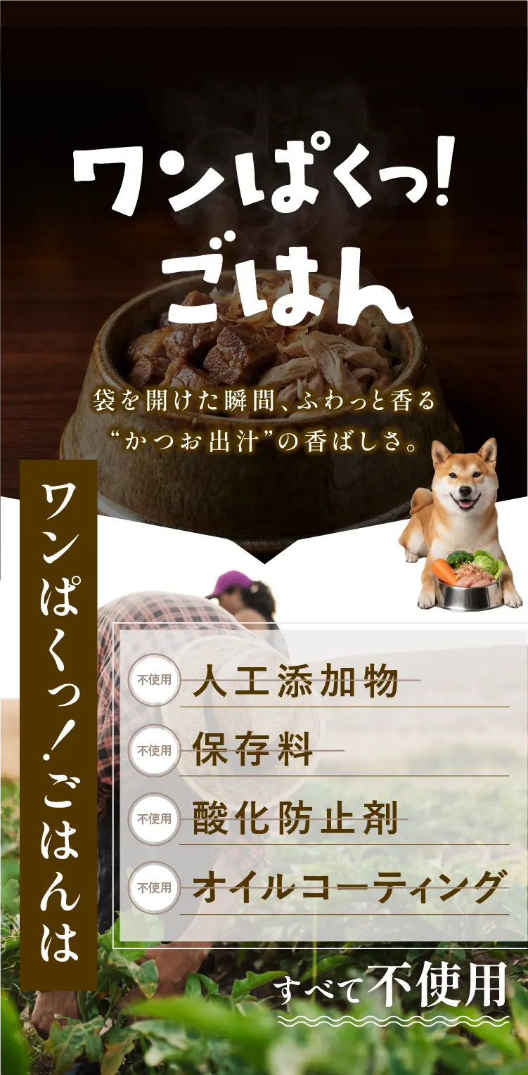
            構想5年！愛犬家が愛犬のために作って、やっと辿り着いたのが「ワンぱくっ！ごはん」袋を開けた瞬間、ふわっと香る「かつお出汁」の香ばしさ。｜人工添加物不使用｜保存料不使用｜酸化防止剤不使用｜オイルコーティング不使用
            