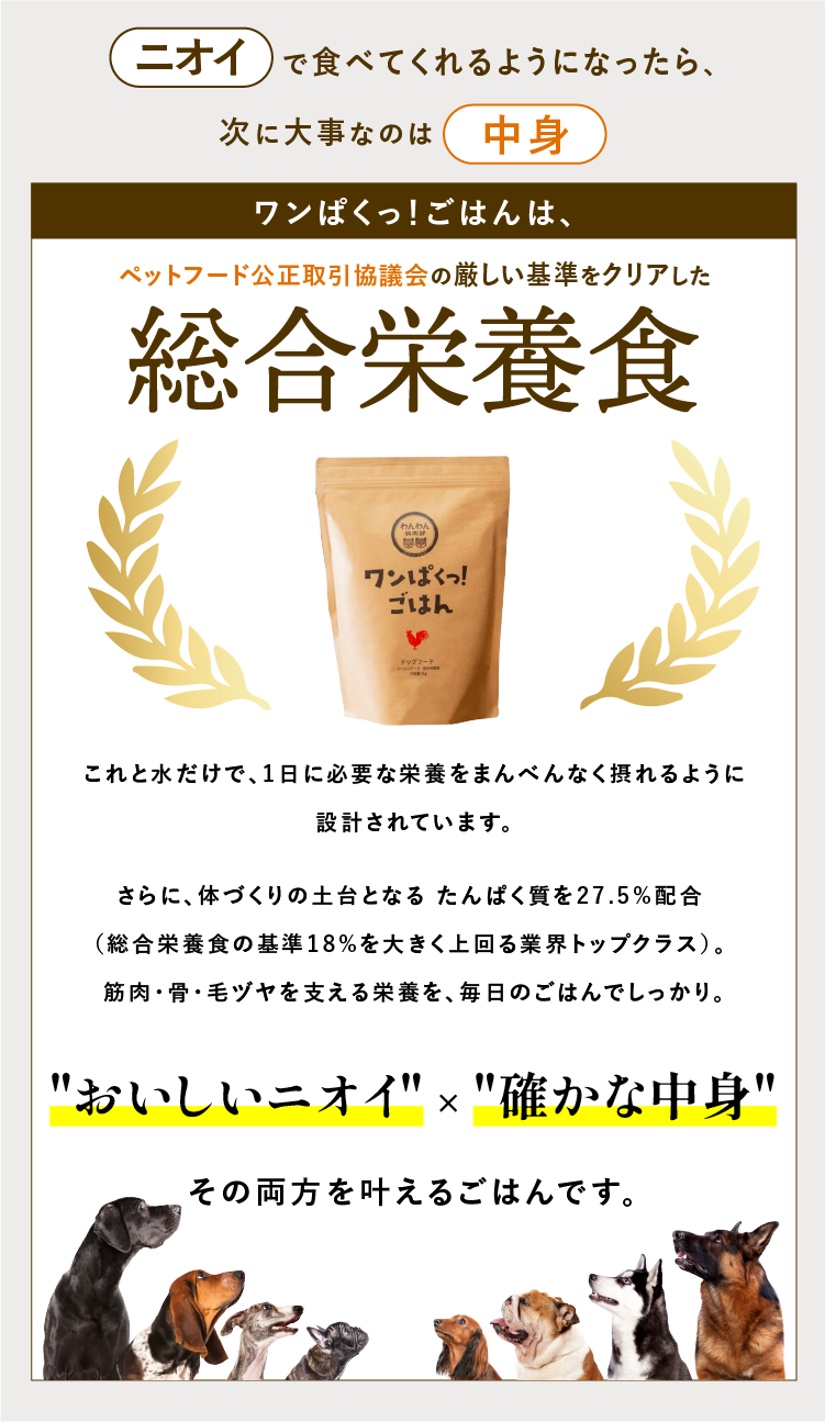 
            「ワンぱくっ！ごはん」はペットフード公正取引協議会の厳しい基準をクリアした総合栄養食。これと水だけで、1日に必要な栄養素をまんべんなく摂れるように設計されています。さらに、体づくりの土台となるたんぱく質を27.5%配合（総合栄養食の基準18%を大きく上回る、業界トップクラス）。筋肉・骨・毛ツヤを支える栄養を、毎日のごはんでしっかり。｜「おいしいニオイ」×「確かな中身」その両方を叶えるご飯です。
            