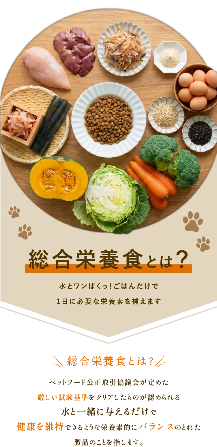 
            「総合栄養食とは？」水とワンぱくっ！ごはんだけで1日に必要な英他所を補えます。｜総合栄養食とは、ペットフード公正取引協議会が定めた厳しい気試験基準をクリアしたものが認められる、水と一緒に与えるだけで健康を維持できるような、栄養素的にバランスの取れた製品のことを指します。
            