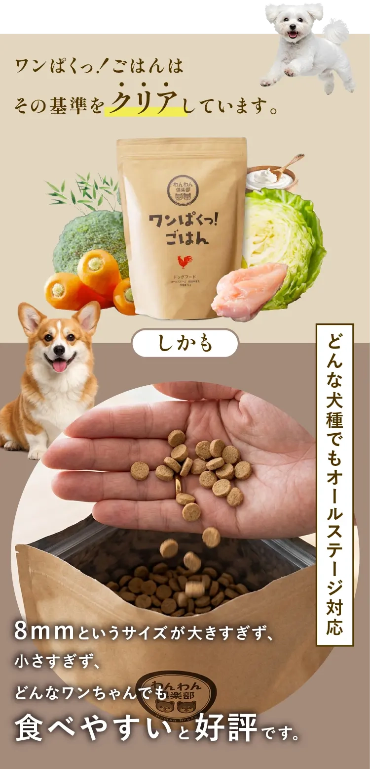 
            どんな犬種でもオールステージ対応｜8mmというサイズが大きすぎず小さすぎず、どんなワンちゃんでも食べやすいと好評です。
            