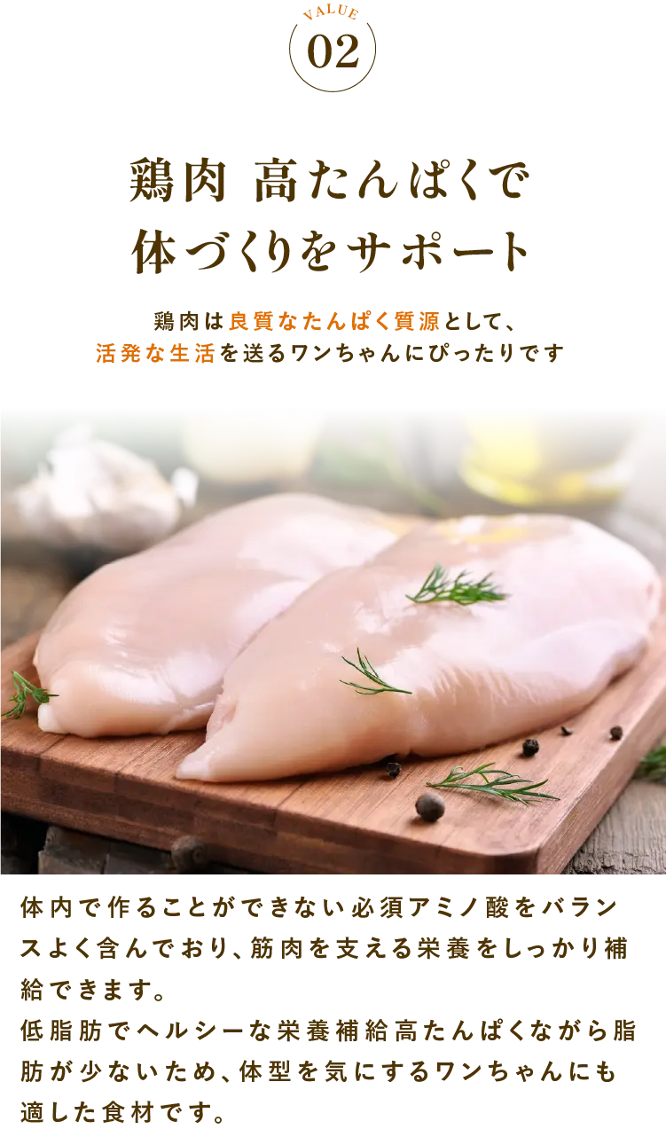 
            ポイント2:鶏肉 高たんぱくで体づくりをサポート｜鶏肉は良質なたんぱく質源として、活発な生活を送るワンちゃんにぴったりです。
            