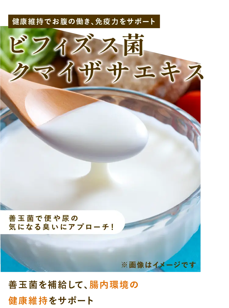 
            健康維持でお腹の働き、免疫力をサポート | 善玉菌で便や尿の気になる臭いにアプローチ！｜善玉菌を補給して、腸内環境の健康維持をサポート｜ビフィズス菌クマイザサエキス
        