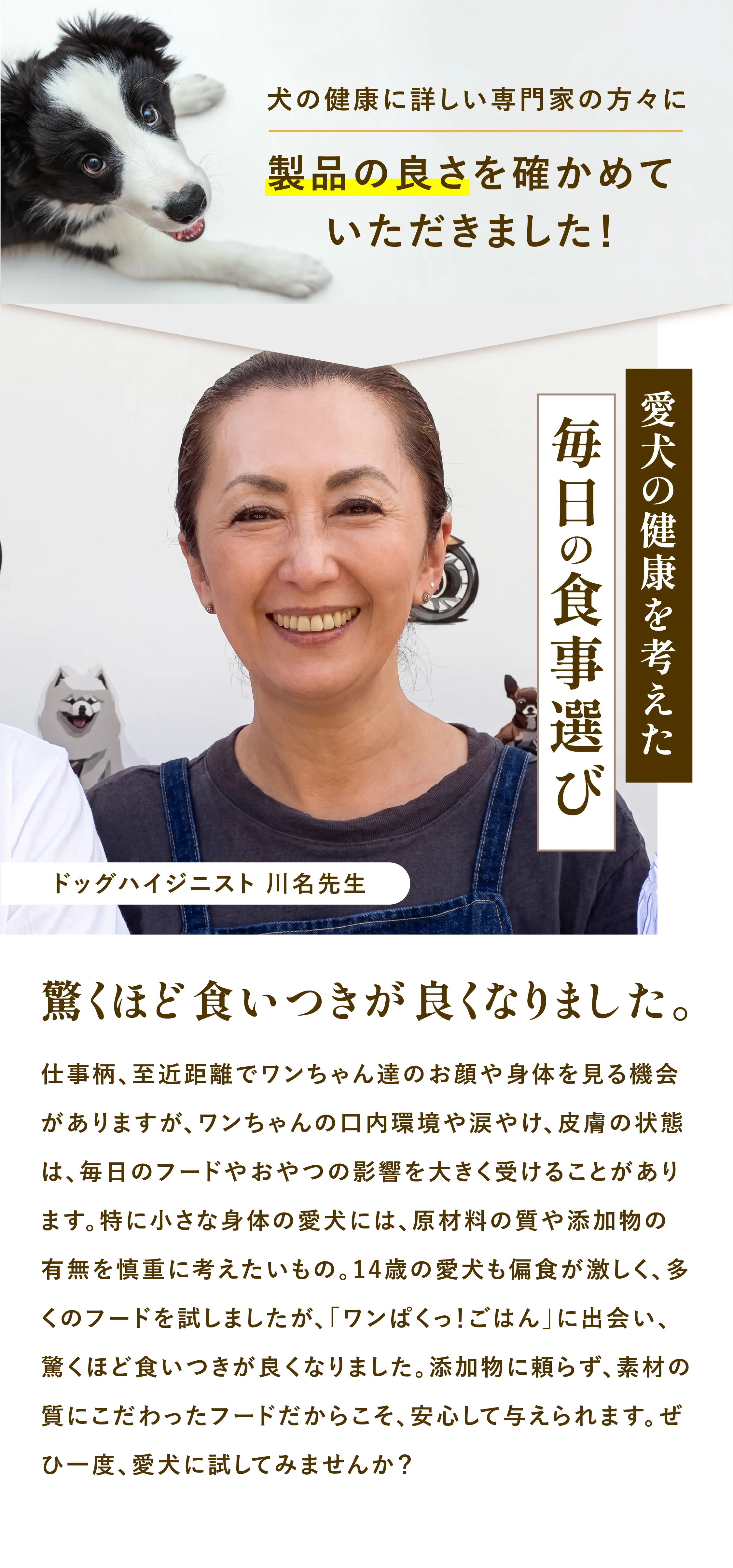 
            犬の健康に詳しい専門家の方々に製品の良さを確かめていただきました！｜愛犬の健康を考えた毎日の食事選び｜ドッグハイジニスト・川名先生｜「驚くほど食いつきが良くなりました。」｜仕事柄、至近距離でワンちゃんたちのお顔や身体を見る機会がありますが、口内環境や涙やけ、皮膚の状態は、毎日のフードやおやつの影響を大きく受けることがあります。｜特に小さな身体の愛犬には、原材料の質や添加物の有無を慎重に考えたいものです。｜14歳の愛犬も偏食が激しく、多くのフードを試しましたが、『ワンぱくっ！ごはん』に出会い、驚くほど食いつきが良くなりました。｜添加物に頼らず、素材の質にこだわったフードだからこそ、安心して与えられます。｜ぜひ一度、愛犬に試してみませんか？
        