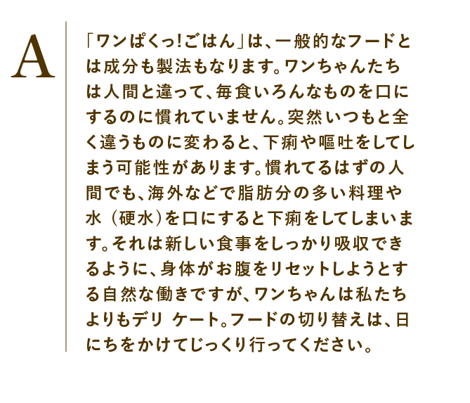 
                    「ワンぱくっ!ごはん」は、一般的なフードとは成分も製法もなります。ワンちゃんたちは人間と違って、毎食いろんなものを口にするのに慣れていません。突然いつもと全く違うものに変わると、下痢や嘔吐をしてしまう可能性があります。慣れてるはずの人間でも、海外などで脂肪分の多い料理や水 (硬水)を口にすると下痢をしてしまいます。それは新しい食事をしっかり吸収できるように、身体がお腹をリセットしようとする自然な働きですが、ワンちゃんは私たちよりもデリ ケート。フードの切り替えは、日にちをかけてじっくり行ってください。
                    