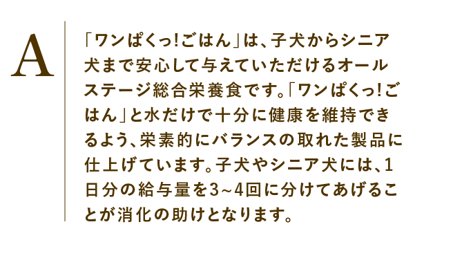 
                    「ワンぱくっ!ごはん」は、子犬からシニア犬まで安心して与えていただけるオールステージ総合栄養食です。「ワンぱくっ!ごはん」と水だけで十分に健康を維持できるよう、栄素的にバランスの取れた製品に仕上げています。子犬やシニア犬には、1日分の給与量を3~4回に分けてあげることが消化の助けとなります。
                    