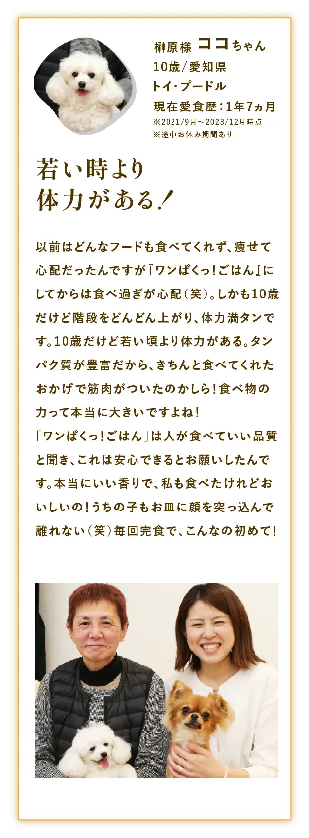 
                            榊原様心（ココ）ちゃん 10歳/愛知県 トイ・プードル 現在愛食歴：1年7ヵ月 ※2021/9月〜2023/12月時点 ※途中お休み期間あり | 若い頃より体力がある！ | 以前はどんなフードも食べてくれず、痩せて心配だったんですが『ワンぱくっ！ごはん』にしてからは食べ過ぎ が心配（笑）。しかも１０歳だけど階段をどんどん上がり、体力満タンです。１０歳だけど若い頃より体力がある。タンパク質が豊富だから、きちんと食べてくれたおかげで筋肉がついたのかしら！食べ物の力って本当に大きいですよね！『ワンぱくっ！ごはん』は人が食べていい品質と聞き、これは安心できるとお願いしたんです。本当にいい香りで、私も食べたけれどおいしいの！心もお皿に顔を突っ込んで離れない(笑)毎回完食で、こんなの初めて！
                            